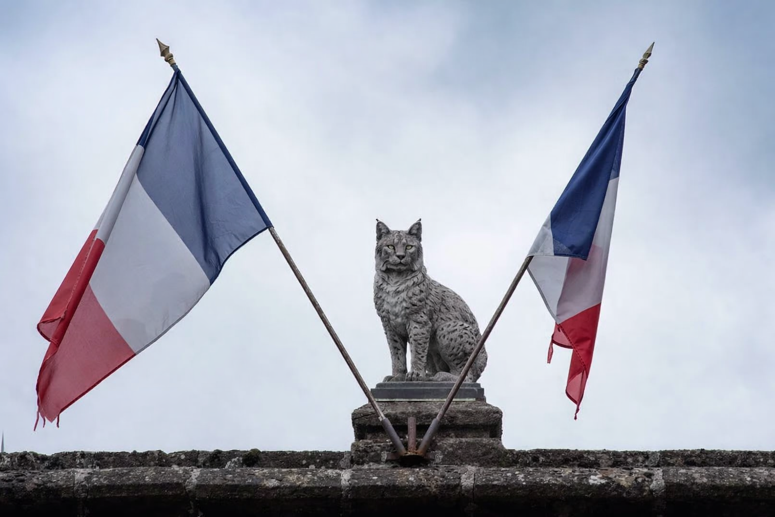 Lynx sur bâtiment avec drapeaux français
